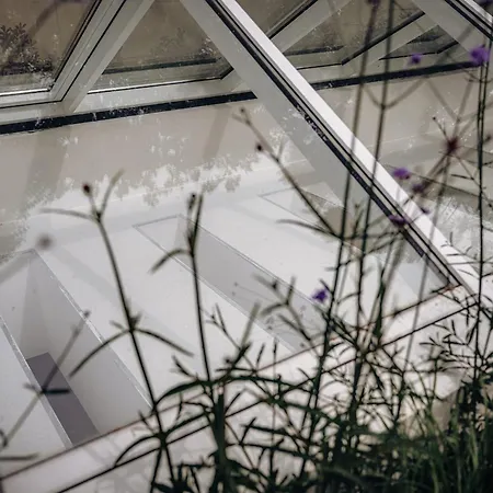 Zlatý Slavík - Luxurious With