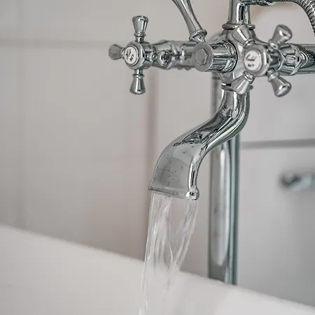 Zlaty Slavik - Luxurious With *