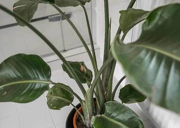 Villa Zlatý Slavík - Luxurious With *